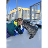 【NHKカルチャー】オホーツクとっかりセンター・アザラシランド飼育スタッフによるオンライン講座「アザラシ飼育員が語るアザラシの個性」【2026年3月14日（土）13時～】