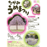 梅が春を告げる「たがみうめまつり」開催！3/15(日)～4/5(日)