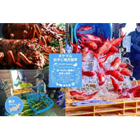 AREYOUGOING株式会社、「ポケマルおやこ地方留学」2026年夏休み・銚子プログラムに地元パートナーとして参画