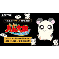 4月8日（水）は「ハムちゃんず」の“職人”パンダくんの誕生日！誕生日当日・朝6時30分より「ABEMA」で『とっとこハム太郎 はむはむぱらだいちゅ！』全話ノンストップ無料一挙放送が決定！
