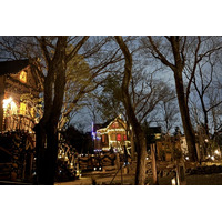 まだ間に合うGW！ツリーハウスに泊まり、BBQで遊び尽くす「TREE HOTEL NIKKA菰野」-一日中楽しめる体験型リゾートへ