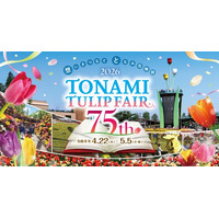【富山県砺波市】いよいよ開幕！2026となみチューリップフェア