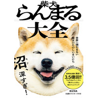 「国宝級のかわいさ」と話題の柴犬らんまるが待望の書籍化！