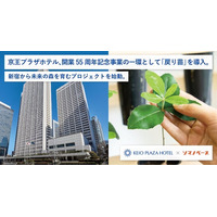 京王プラザホテル、開業55周年記念事業の一環として「戻り苗」を導入。新宿から未来の森を育む取り組みを開始