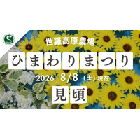 【広島／世羅】ひまわりが見頃を迎えています《世羅高原農場》 ひまわりまつりは8月23日（日）まで