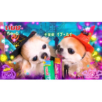 いなばペットフード　ハロウィン仮装のわんちゃんたちが大活躍！「Wanちゅ～る」2026年ハロウィンTVCM第1弾を公開